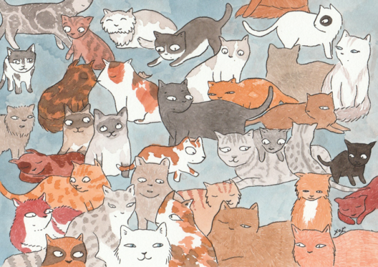 Chat va ?