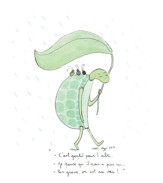 Sous la pluie