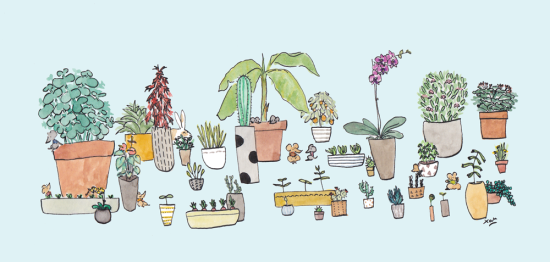 Mon jardin secret